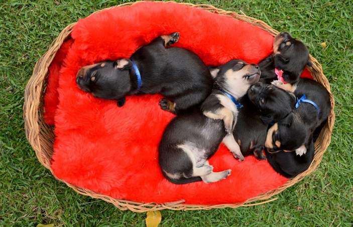 圖片來源:Anna Fotografia