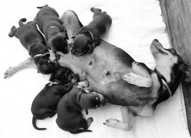 圖片來源:Anna Fotografia