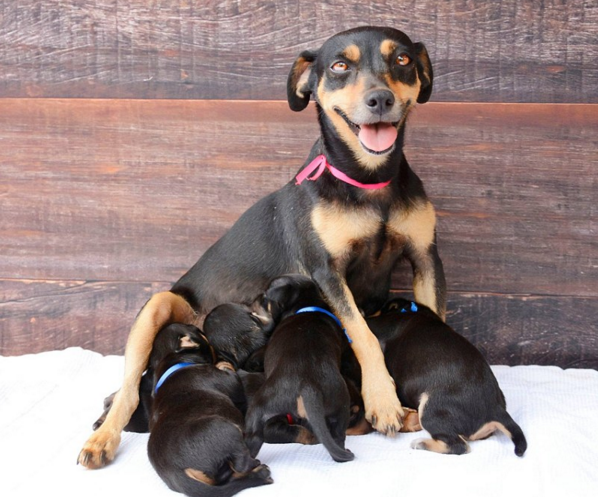 圖片來源:Anna Fotografia