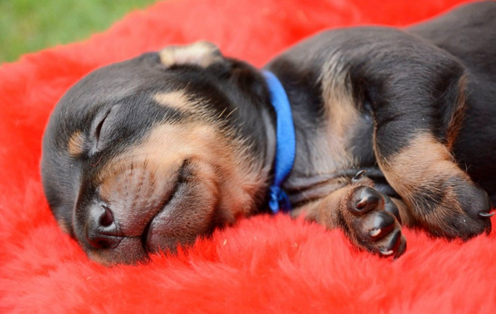 圖片來源:Anna Fotografia