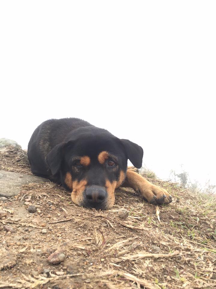 圖片來源：Kristy Cheung