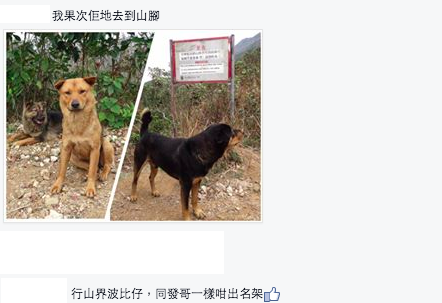 圖片來源：Kristy Cheung