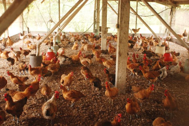 圖片來源:jhongshan