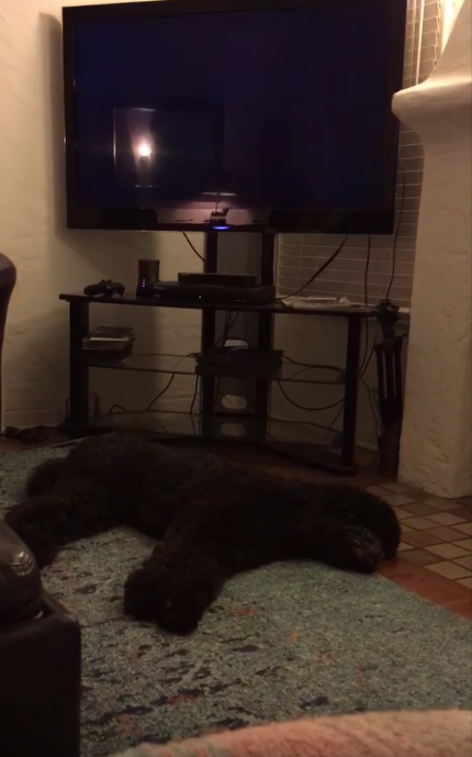 圖片來源：madison blakey/youtube