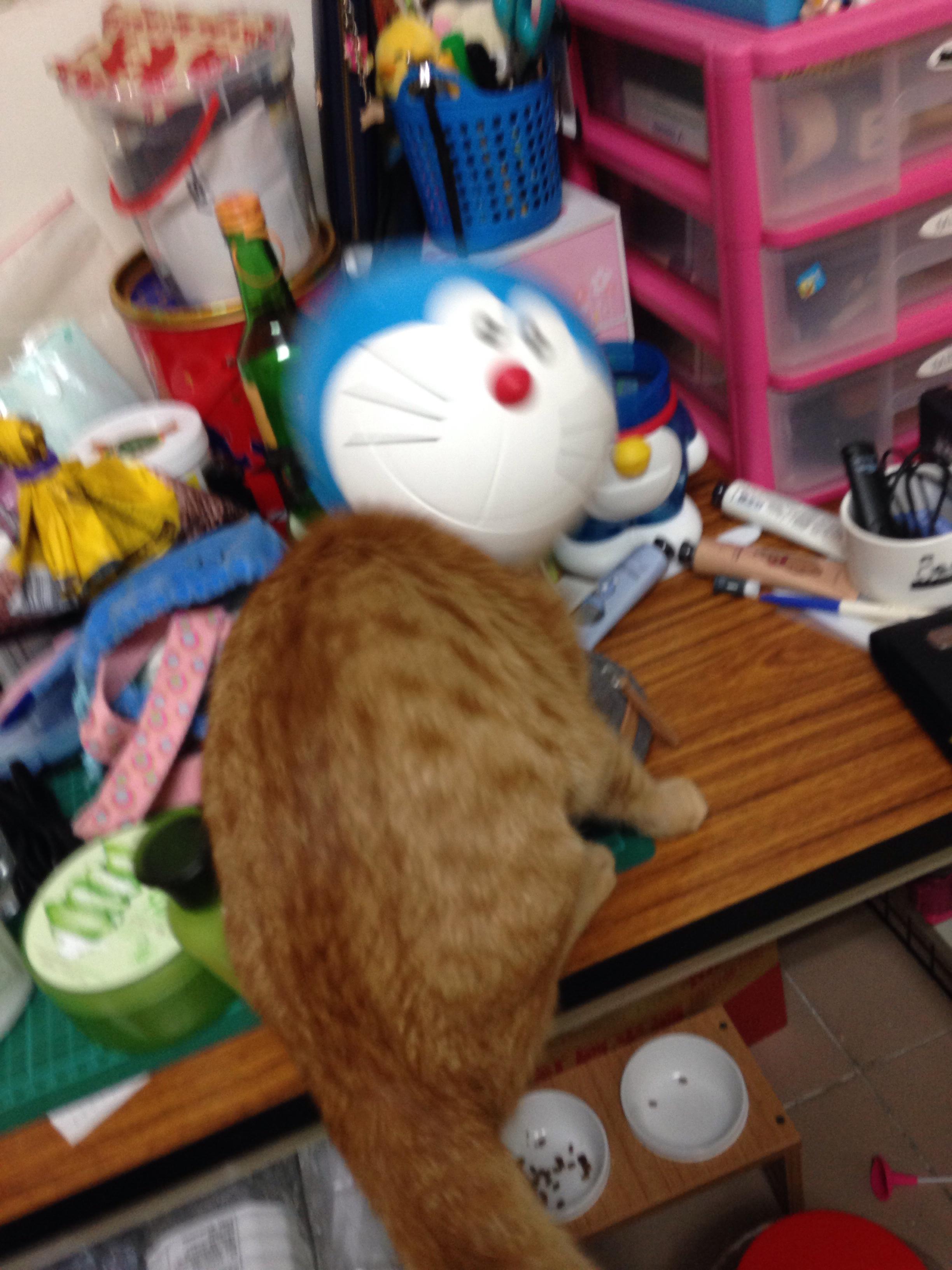 圖片來源：wumaywumay/PTT