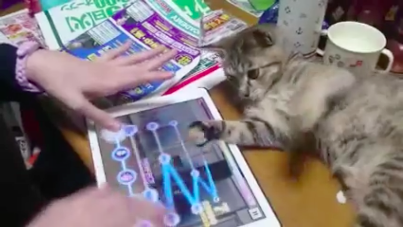 圖片來源：tkl72917291／twitter