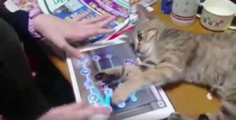 圖片來源：tkl72917291／twitter