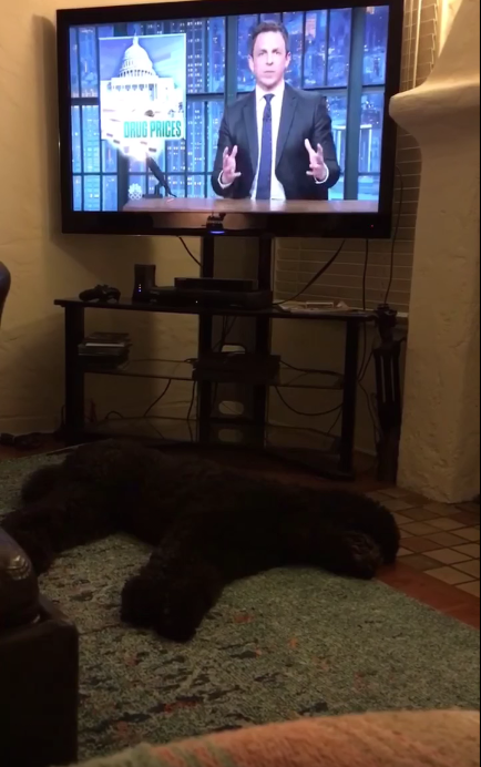 ​圖片來源：madison blakey/youtube