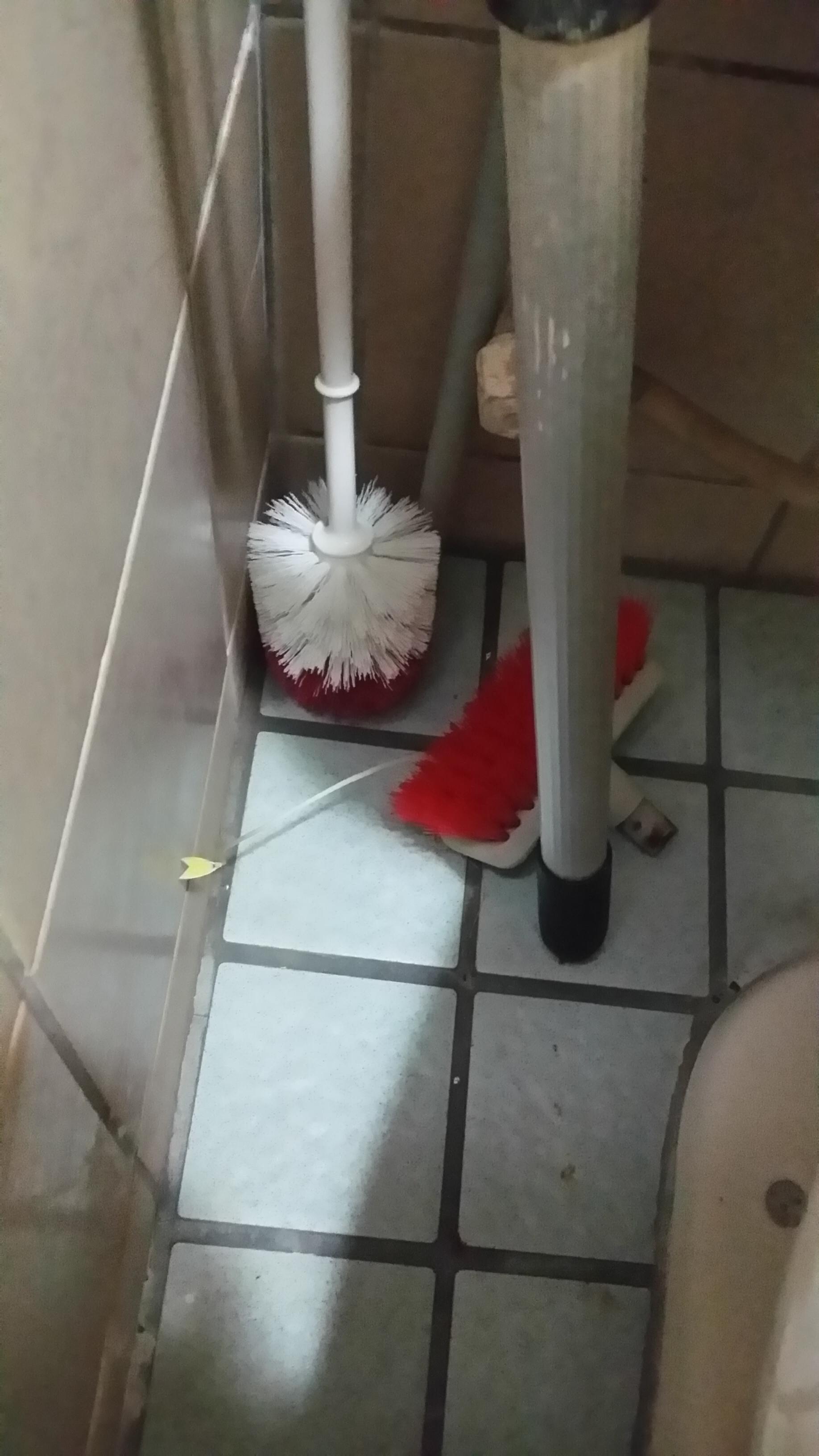 圖片來源：VivaFox/PTT