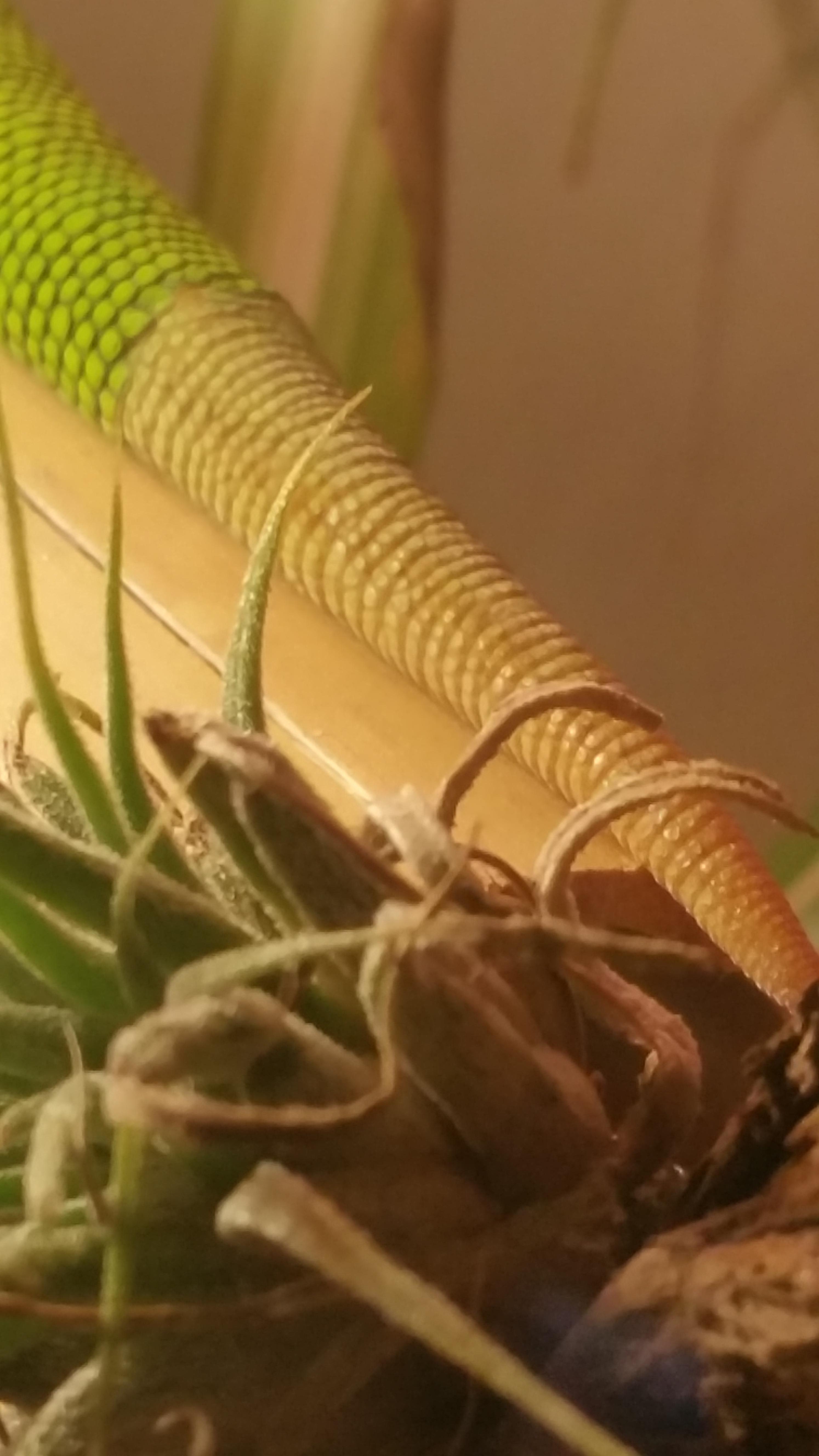 圖片來源： imgur