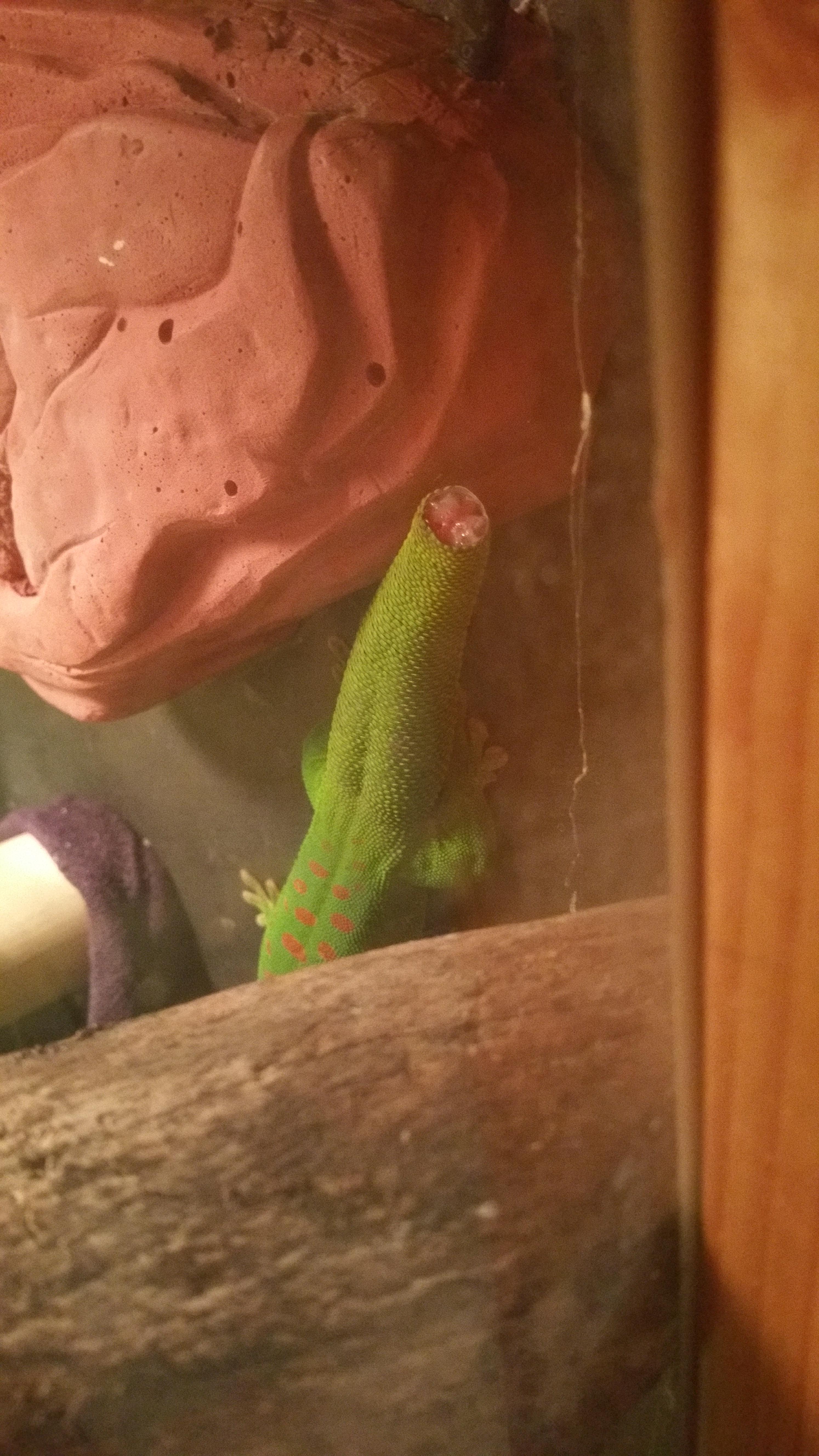 圖片來源： imgur