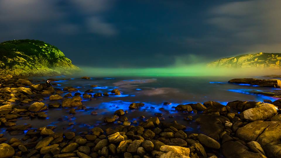 感謝Ricky Chan授權轉載