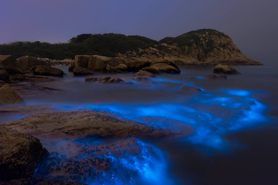 感謝Kevin Choi授權轉載