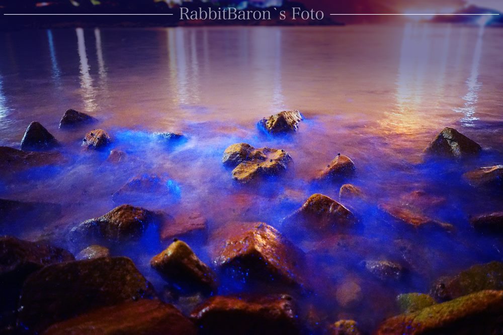 感謝Rabbitbaron's Foto 授權轉載