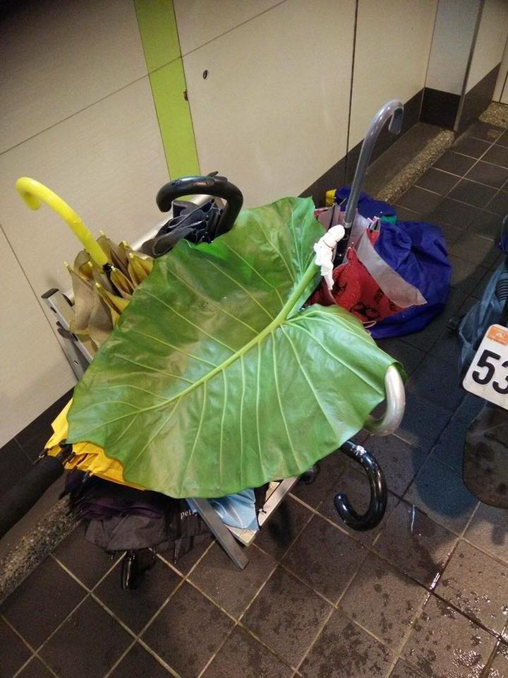 圖片來源： 張肇庭/爆廢公社