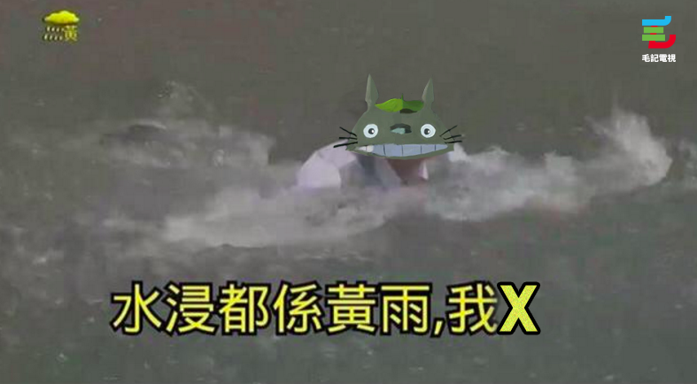 原圖：tvb《守業者》截圖、《龍貓》截圖