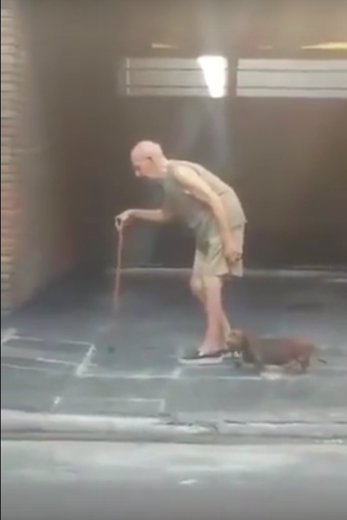 圖片來源:99a99/youtube