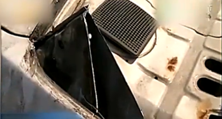 圖片來源:齊魯網