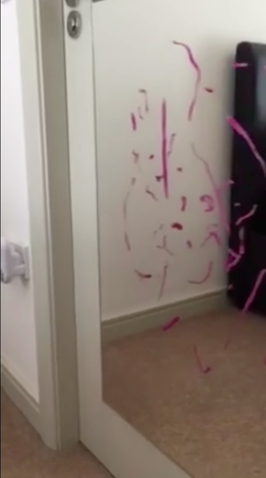 圖片來源:Laura Hopkins/Facebook