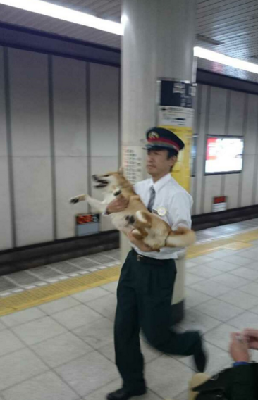 圖片來源：jun_rit314／twitter