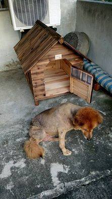 圖片來源：爆料公社