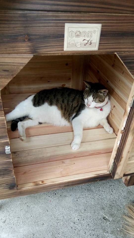 圖片來源：爆料公社