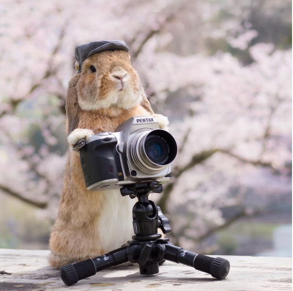 圖片來源:mumitan/instagram