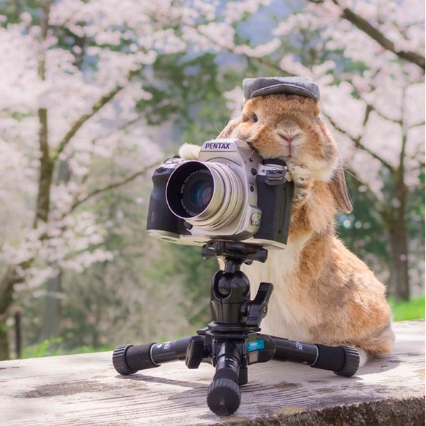 圖片來源:mumitan/instagram