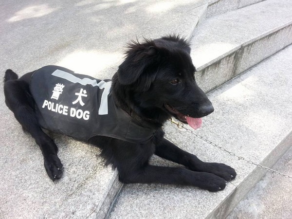 圖片來源：臺東縣警察局關山分局