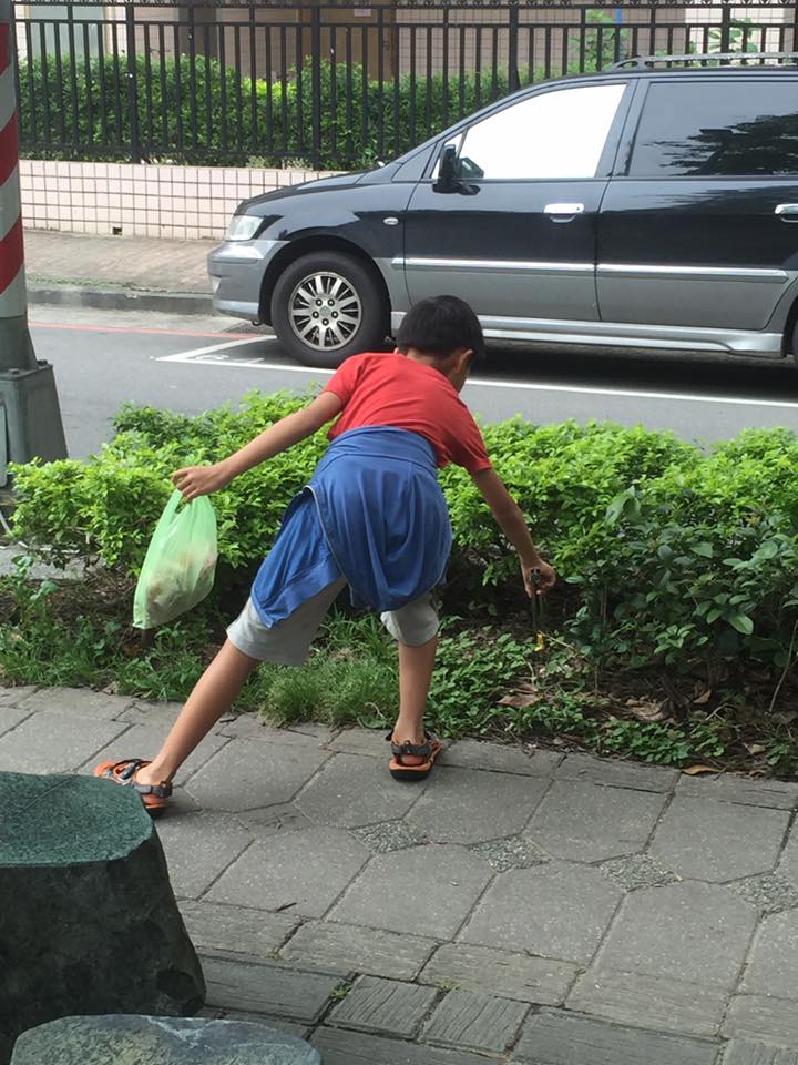 圖片來源:Ninawei Chen/林口大家庭 Linkou-Family