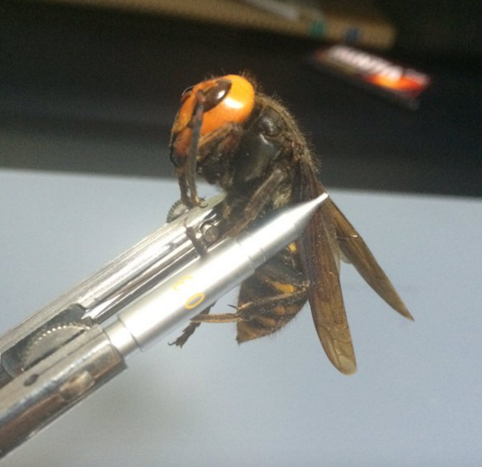 圖片來源:sun_s_k/twitter