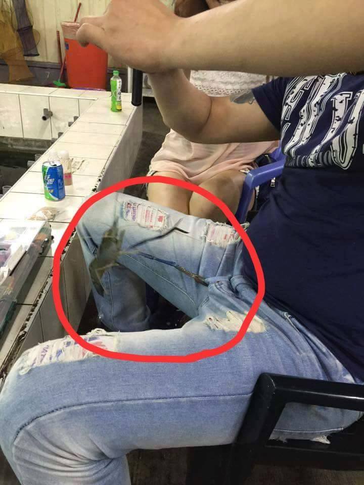 圖片來源:郭主席/爆廢公社