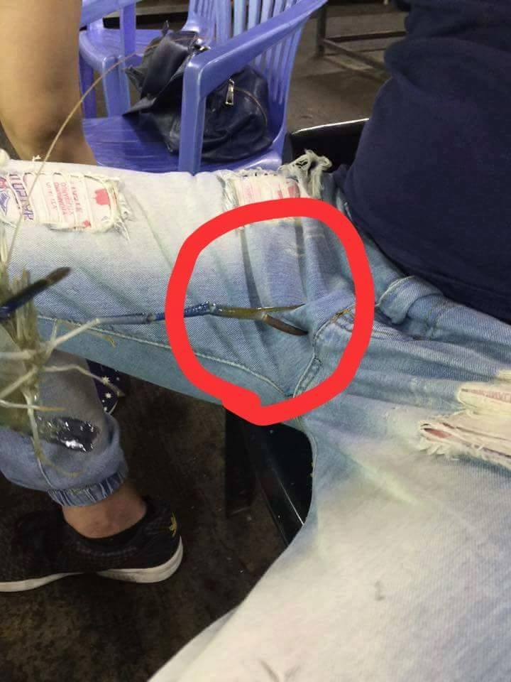 圖片來源:郭主席/爆廢公社