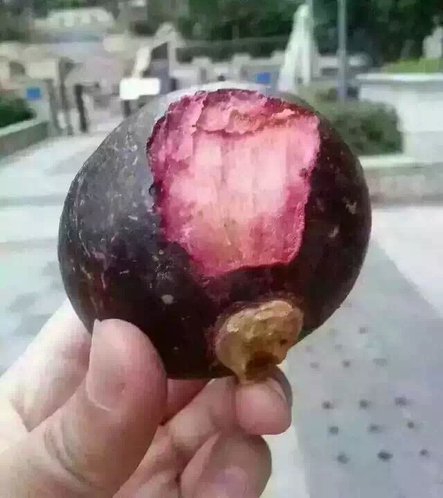 圖片來源:5117337723/weibo