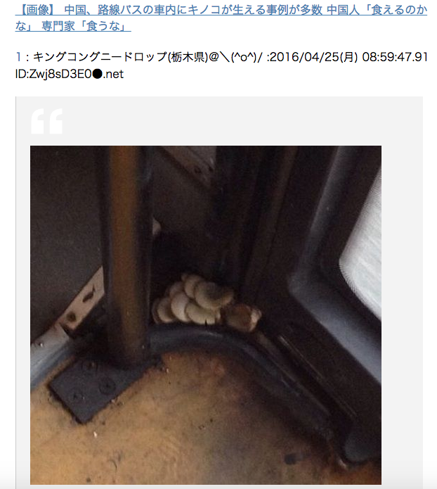 圖片來源:xdomain.jp