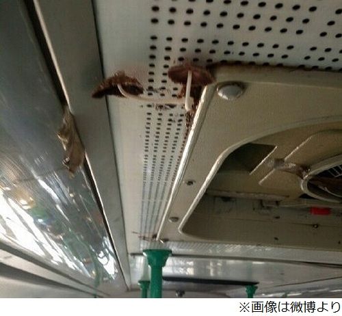 圖片來源:xdomain.jp