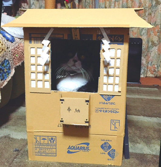 圖片來源:V_KITEI/twitter