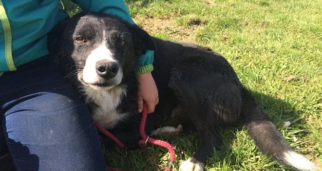 圖片來源：dailymail