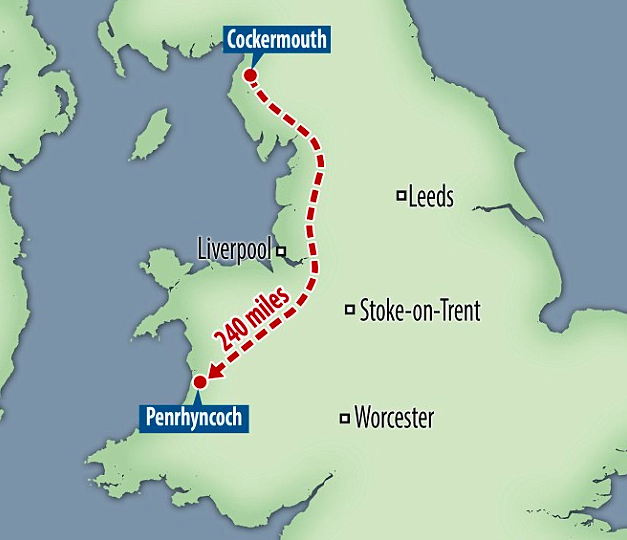 圖片來源：dailymail