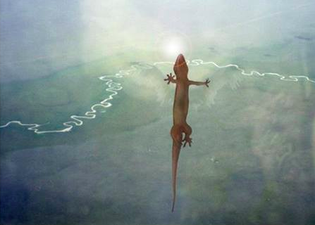 圖片來源：爆料公社