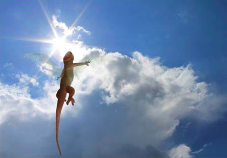 圖片來源：爆料公社