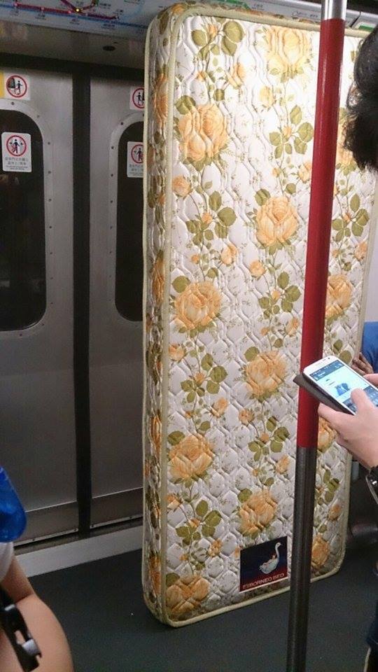 讀者來圖：Carol Wong