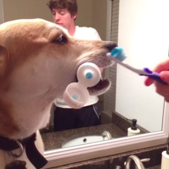 圖片來源： gregbaskwell