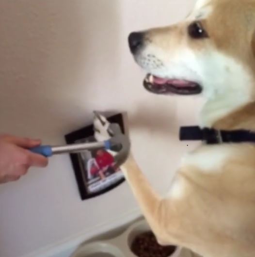 圖片來源： gregbaskwell