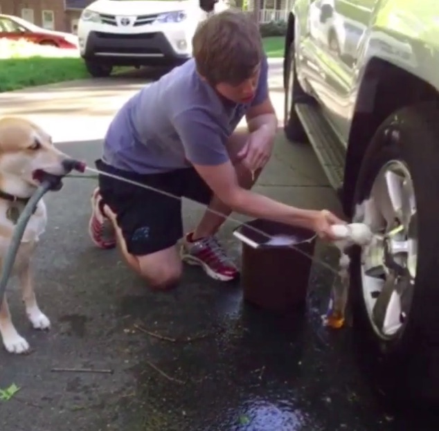 圖片來源： gregbaskwell