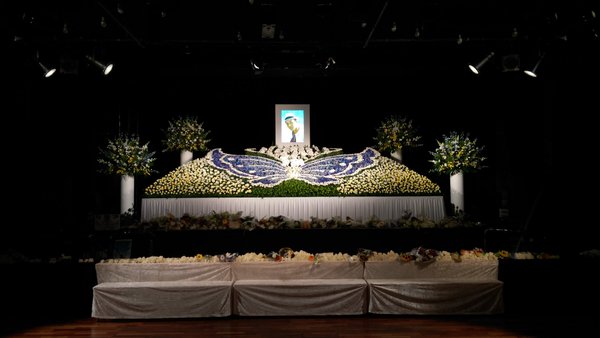 圖片來源:solid_vox/twitter