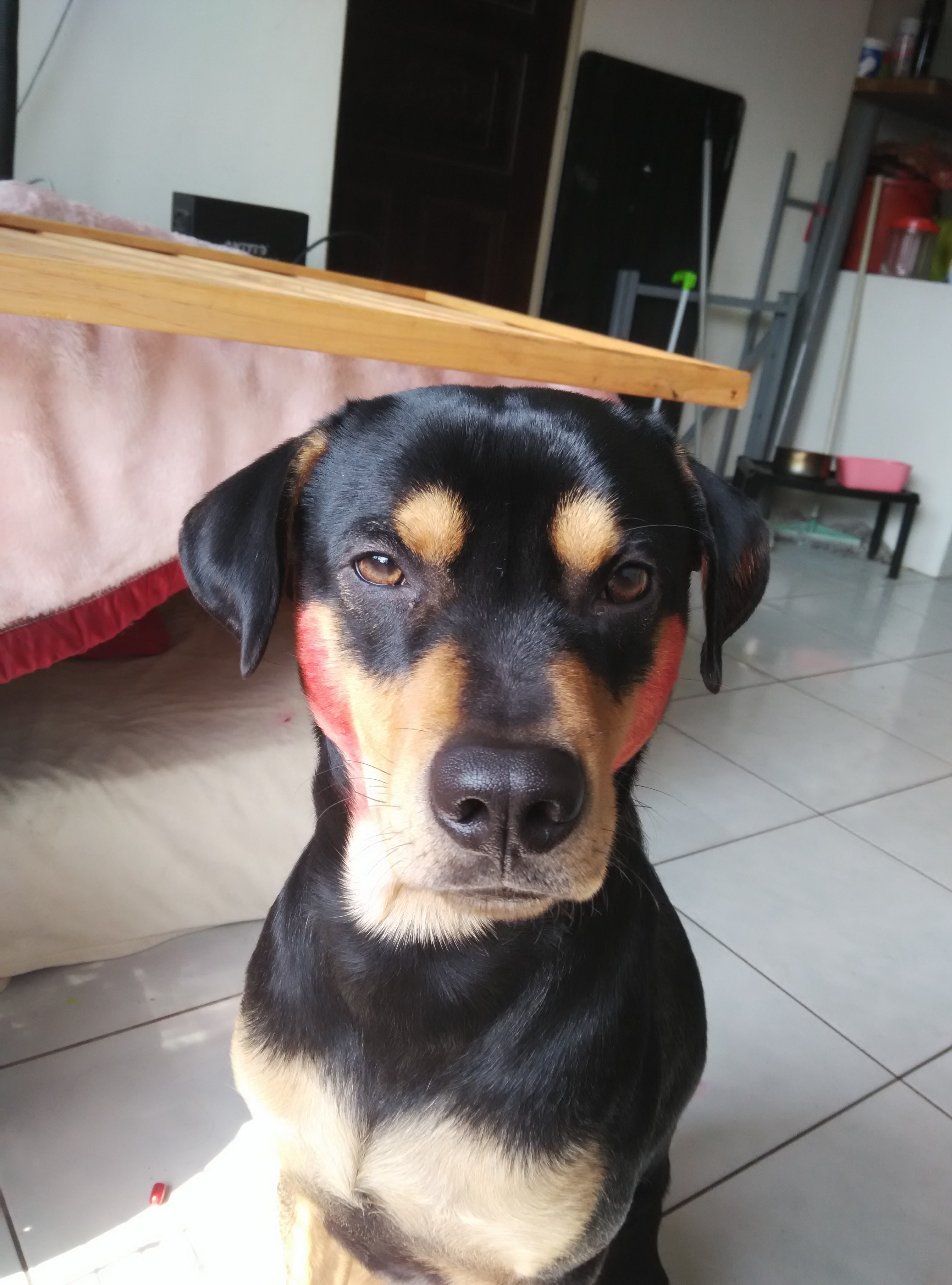 圖片來源: skarry/PTT