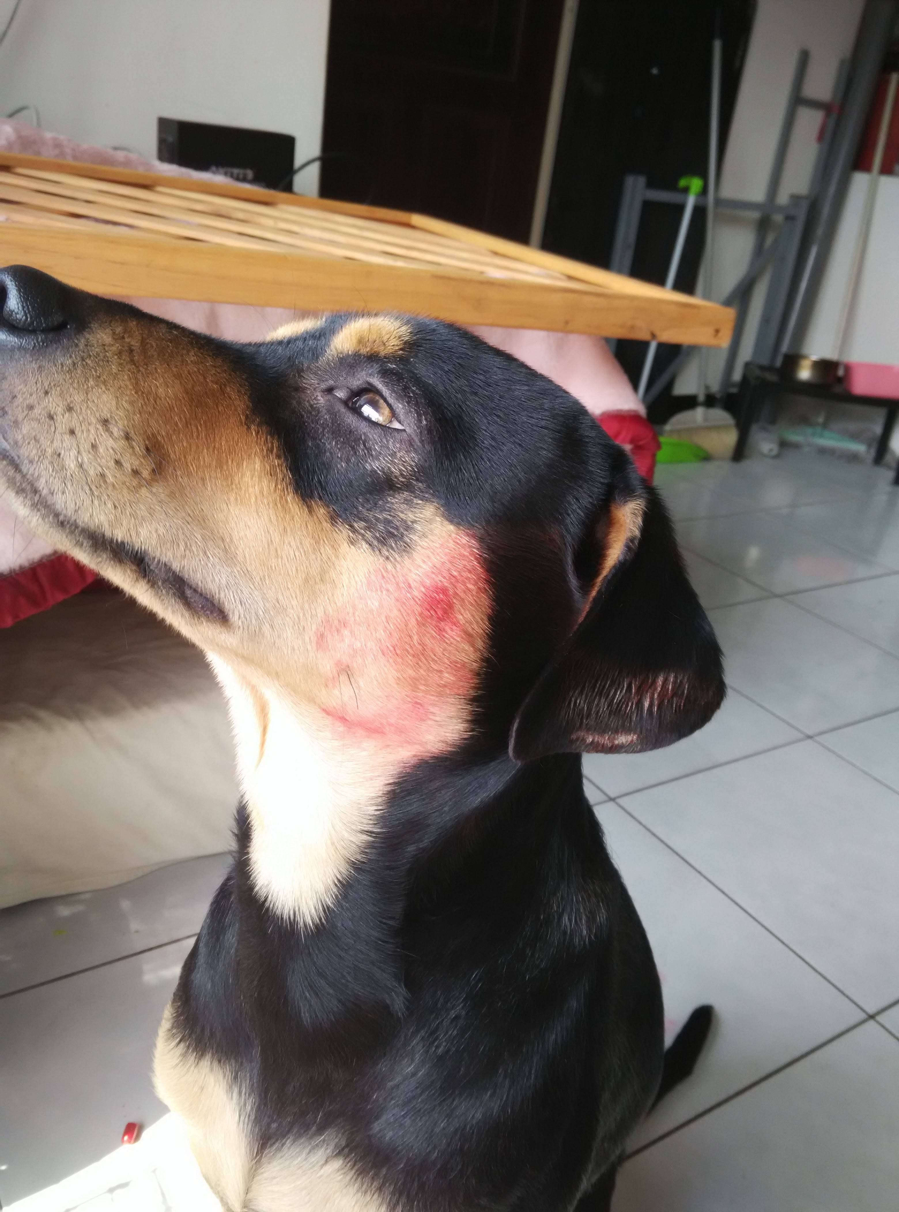 圖片來源: skarry/PTT