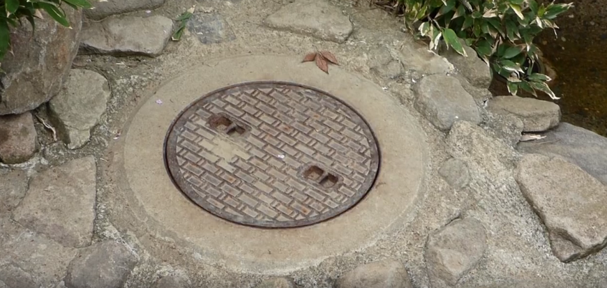 圖片來源:Naganno Chausuyama Zoo