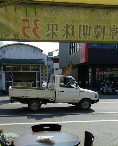 圖片來源:爆料公社